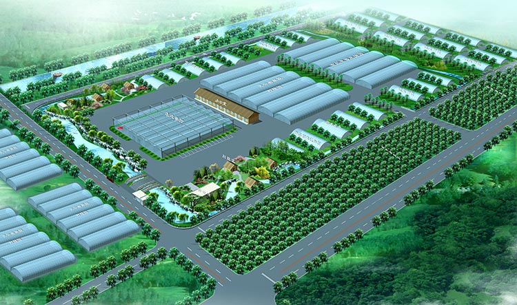 ylzzcom永利总站线路检测