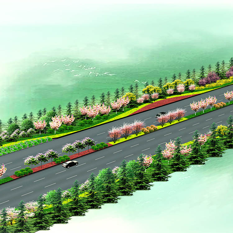 济宁太白路西延
